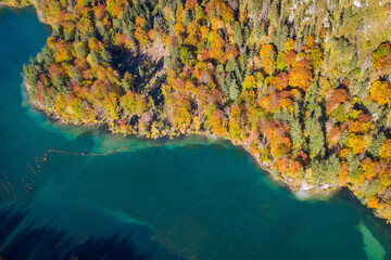 Fototapeta na wymiar Colorful autumn tree tops on a lake shore seen from above and useable as background