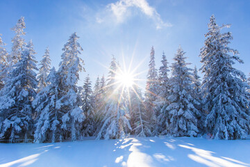 Majestic winter landscape in Austria with deep snow, sunshine and blue sky
