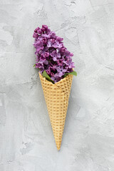 Fresh lilac flowers in ice cream cone. Abstract spring background