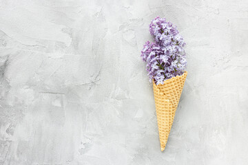 Fresh lilac flowers in ice cream cone. Abstract spring background