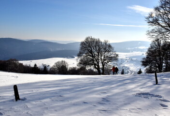 Winterwonderland Auf Dem Schauinsland Bei