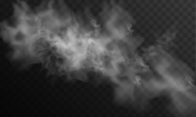 Special effect of steam, smoke, fog, clouds. Abstract gas on transparent background, vapor machine steam or explosion dust, dry ice effect, condensation, fume. Vector illustration.	 - obrazy, fototapety, plakaty