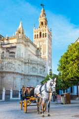 Naklejka na ściany i meble Traditional Horse and Carriage in front of the Giralda Tower. Seville, andalusia