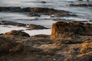 Pedras da orla de Punta del Este, Uruguay