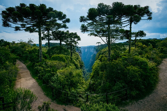 C&acirc;nion no Rio Grande do Sul