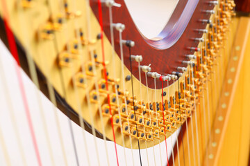 harp, stringed instrument, classical music, orchestra, concert, solo