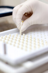 production of capsules, pills, medicines, pharmaceutical production, drug manufacturing, quality control