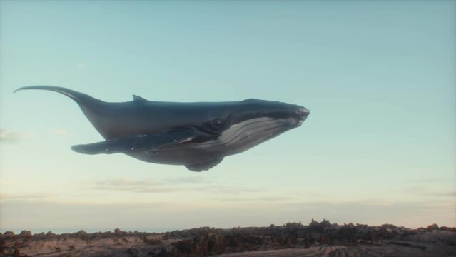Surrealist Animation of a Humpback Whale in the Sky. Fantasy Imagining. Bold, Catchy Imagery. 4K CGI animation.