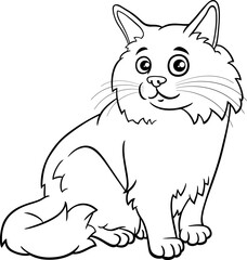 cartoon fluffy cat animal character coloring page