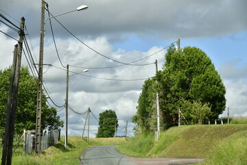 Obraz premium Route de campagne entre prairies et arbres isolés sous un ciel changeant près du bourg de Champagne au Périgord Vert 