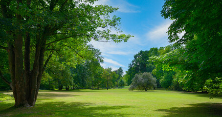 Beautiful meadow with green grass in public park.