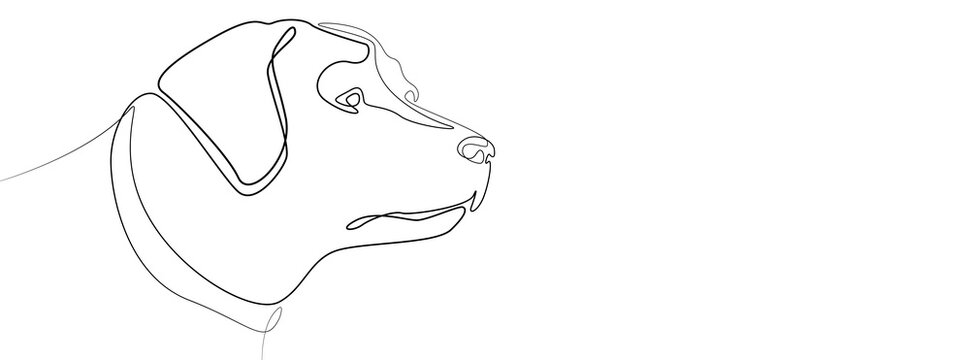 Linear drawing of a labrador, dog outline. Dog is a human best friend. Pet. Banner with a stylized animal on a white background