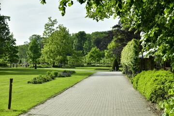 Fototapeta premium Allée en gravier gris à l'arboretum du Vrijbroekpark à Malines 