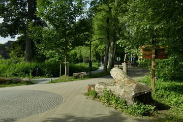 Gros morceau de bois servant de d&eacute;coration au Vrijbroekpark &agrave; Malines 