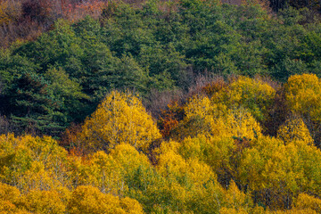 Fototapeta premium Autumn views in the mountains