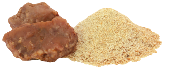 Ferula assafoetida or Hing spice