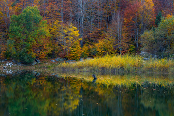 Autumn views in the mountains