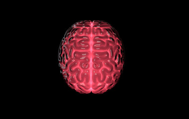 Human brain 3d rendering isolated on black, concept of intelligence, technology, learning. Light of idea