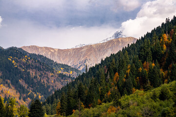 Autumn views in the mountains