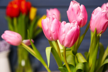 Beautiful tulip flowers on blue wooden background