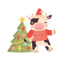 Cow with Christmas tree. New Year and Christmas, traditional winter holidays. Invitation and greeting card design. Character decorates apartment, toys and garlands. Cartoon flat vector illustration