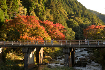 Obraz premium 福岡県那珂川市南畑ダム付近の紅葉