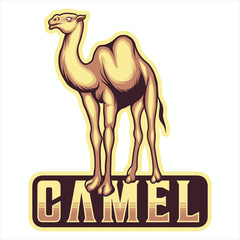 Premium camel logo mascot vector illustration