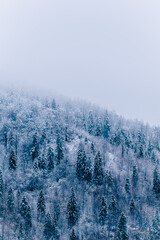 winter, snow, mountain