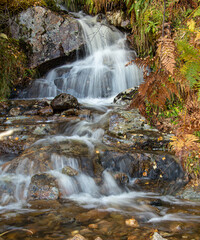 Obraz premium waterfall in the forest