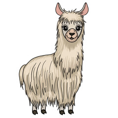 Cute llama vector cartoon drawing. Beige color funny alpaca comic drawing. Isolated animal character. Front view. © Chris