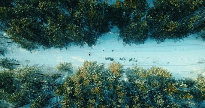 top view on people walking on snowed road in forest in winter, pair of hikers in nature, 4K, Prores