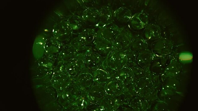 Animation of early embryonic development. Cell division, formation of morula and embryo. Conceptual microbiology in the laboratory. Fertilization. Ovum concept.