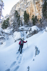 Man snow shoeing in the mountains