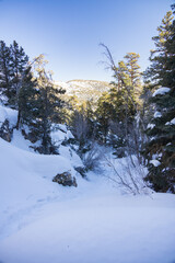 Robbers Roost trail in snow  at Spring Mountain National Recreation Area, Nevada