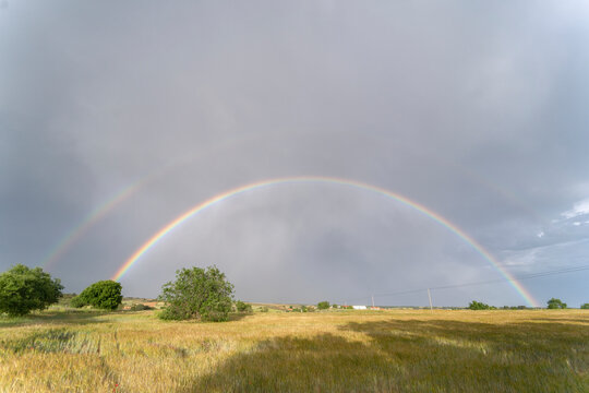 Summer yellowish field with a full rainbow in the background of the image. Torrejon del rey, Guadalajara. Spain