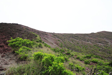 見上げる登山道の風景