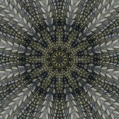 square reptile spoked kaleidoscope