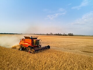 Aerial drone photo of red harvester working in wheat field on sunset. Combine harvesting machine driver cutting crop in farmland. Organic farming. Agriculture theme, harvesting season.