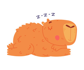 Cute baby capybara sleeping. Funny animal of South America cartoon vector illustration