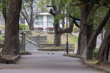 東京都／品川／公園