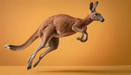 Tuinposter Kangaroo Showtime: The Great Jumping Performance © klarkz