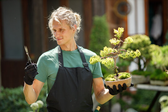 Young blonde man pruring bonsai at backyard garden