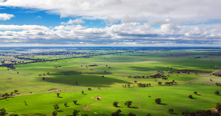Naklejka premium landscape with grass and sky