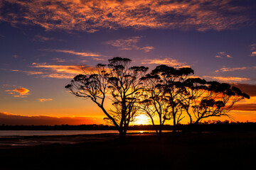 sunset in the outback
