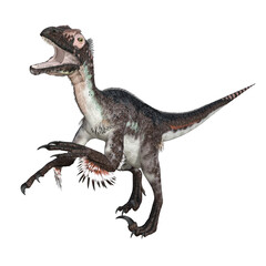 Obraz na płótnie Canvas Utahraptor dinosaur isolated 3d render