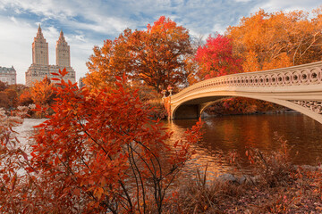 Bow Bridge in central park at New York city during Autumn
