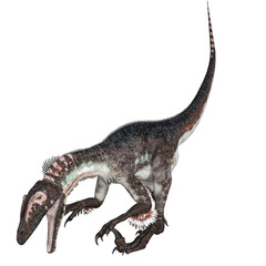 Utahraptor dinosaur isolated 3d render