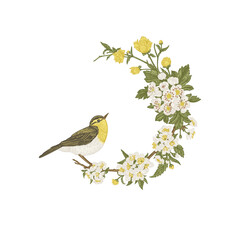 Floral wreath with bird Isolated on a transparent background. Branch with flowering hawthorn and cherry. Vintage. Botanical label. Vintage illustration. Colorful.