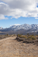 Dirt road with snow covered mountains at Spring Mountain National Recreation Area, Nevada