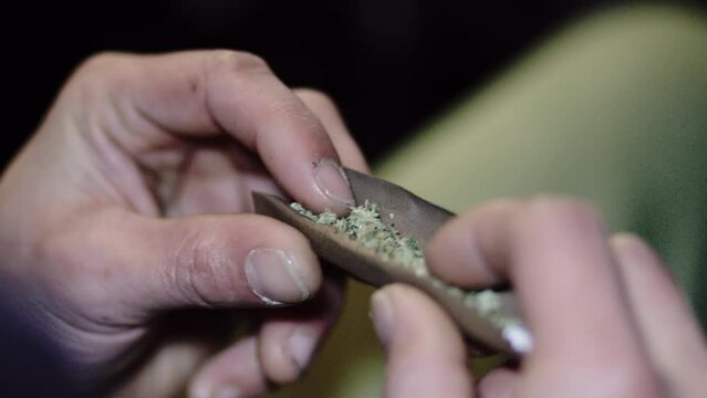 close up male hands spreading the weed in a pure haze blunt before he rolls up